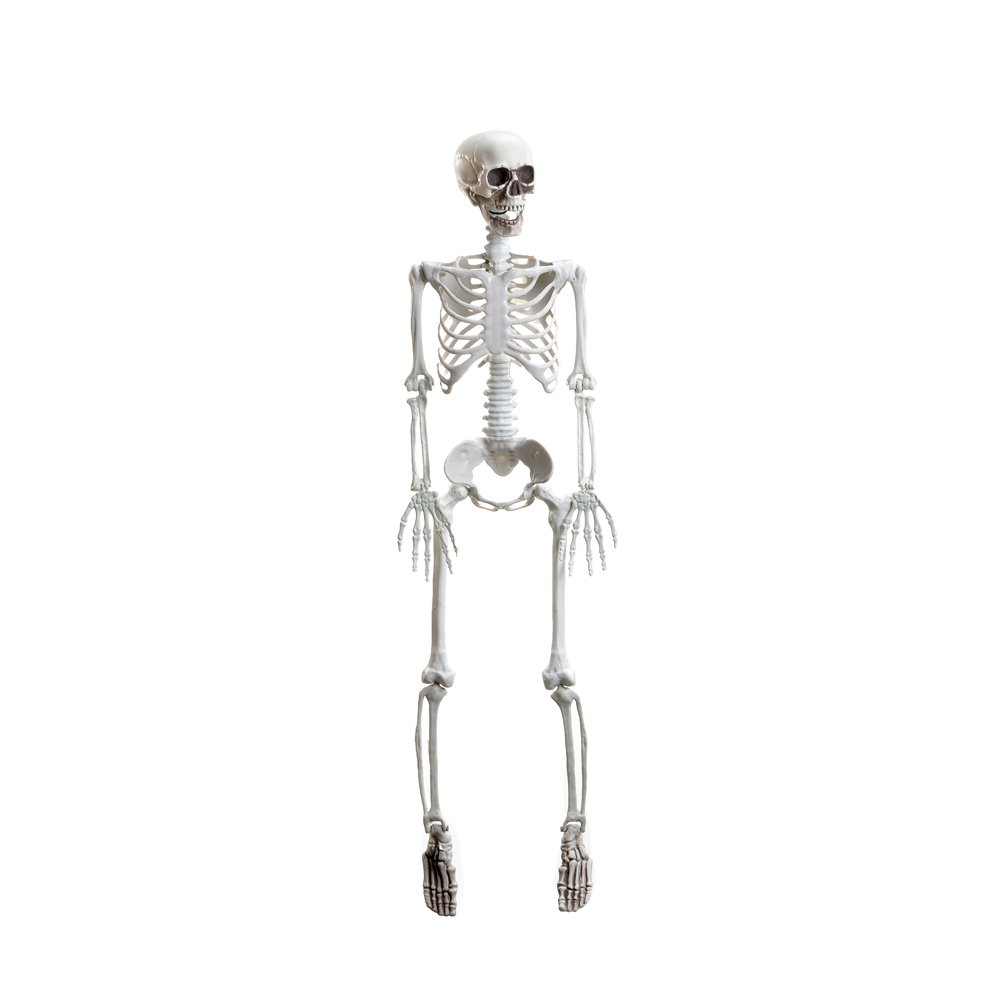 articulated-skeleton-xavier-shoparty